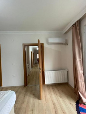 Atmaca home